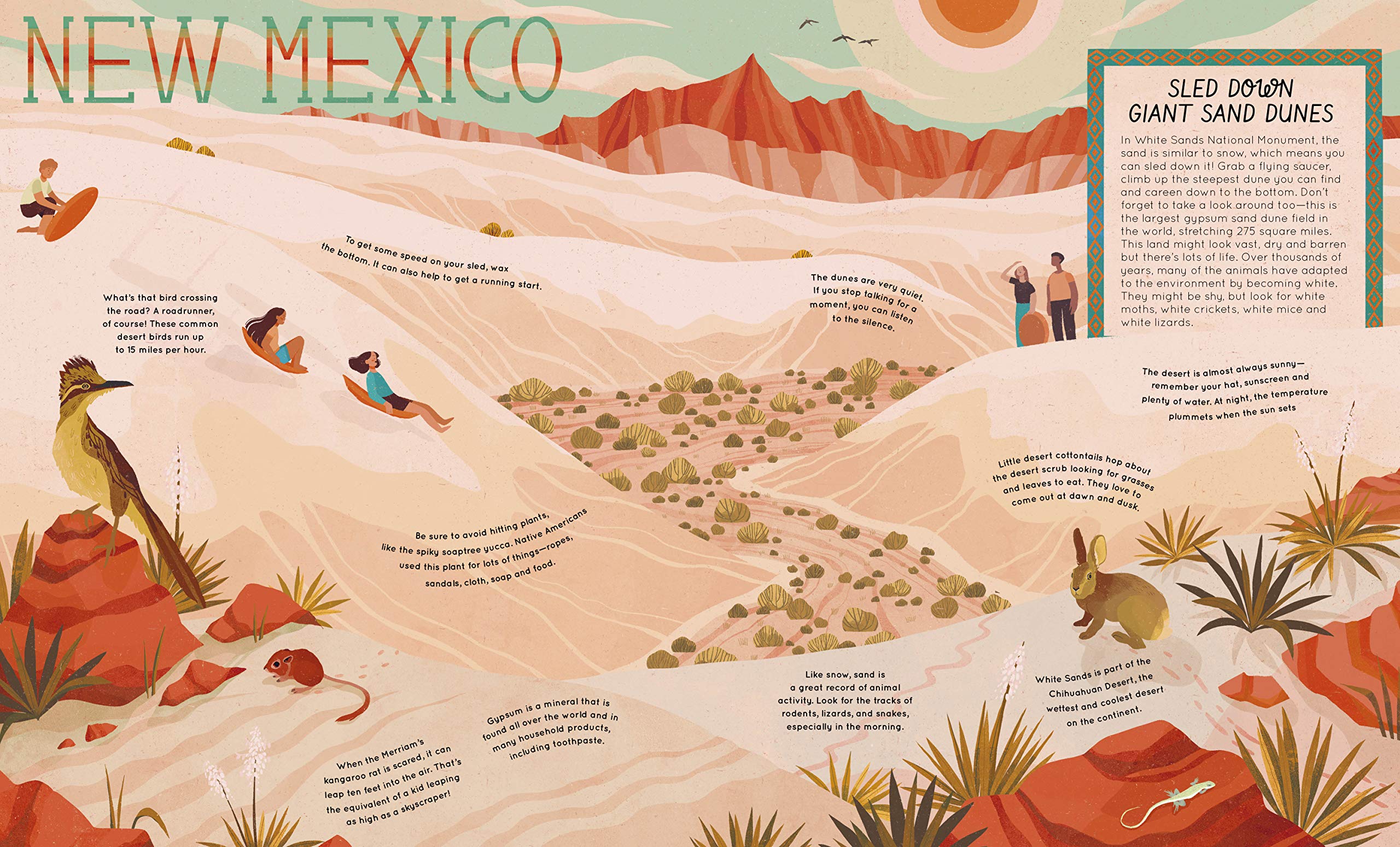 50 Adventures in the 50 States