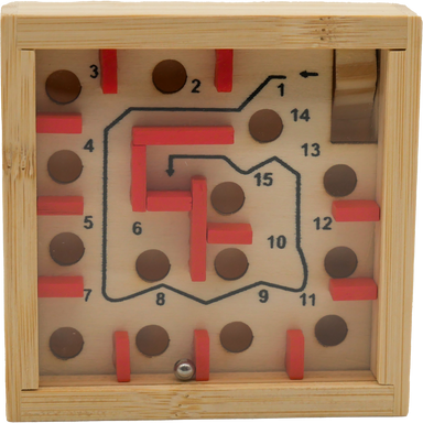 Ecologicals The Great Coral Maze