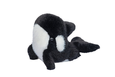 Lil' Baby Orca Whale