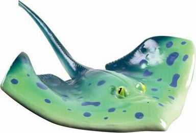 Stingray Squirt