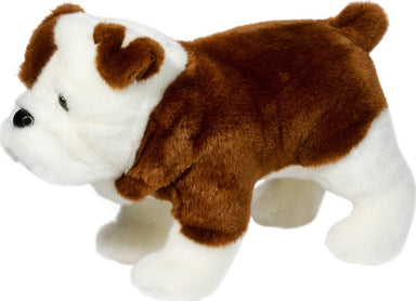 Hardy Bulldog