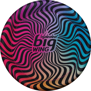 Big Wing Flying Disc (assorted styles)