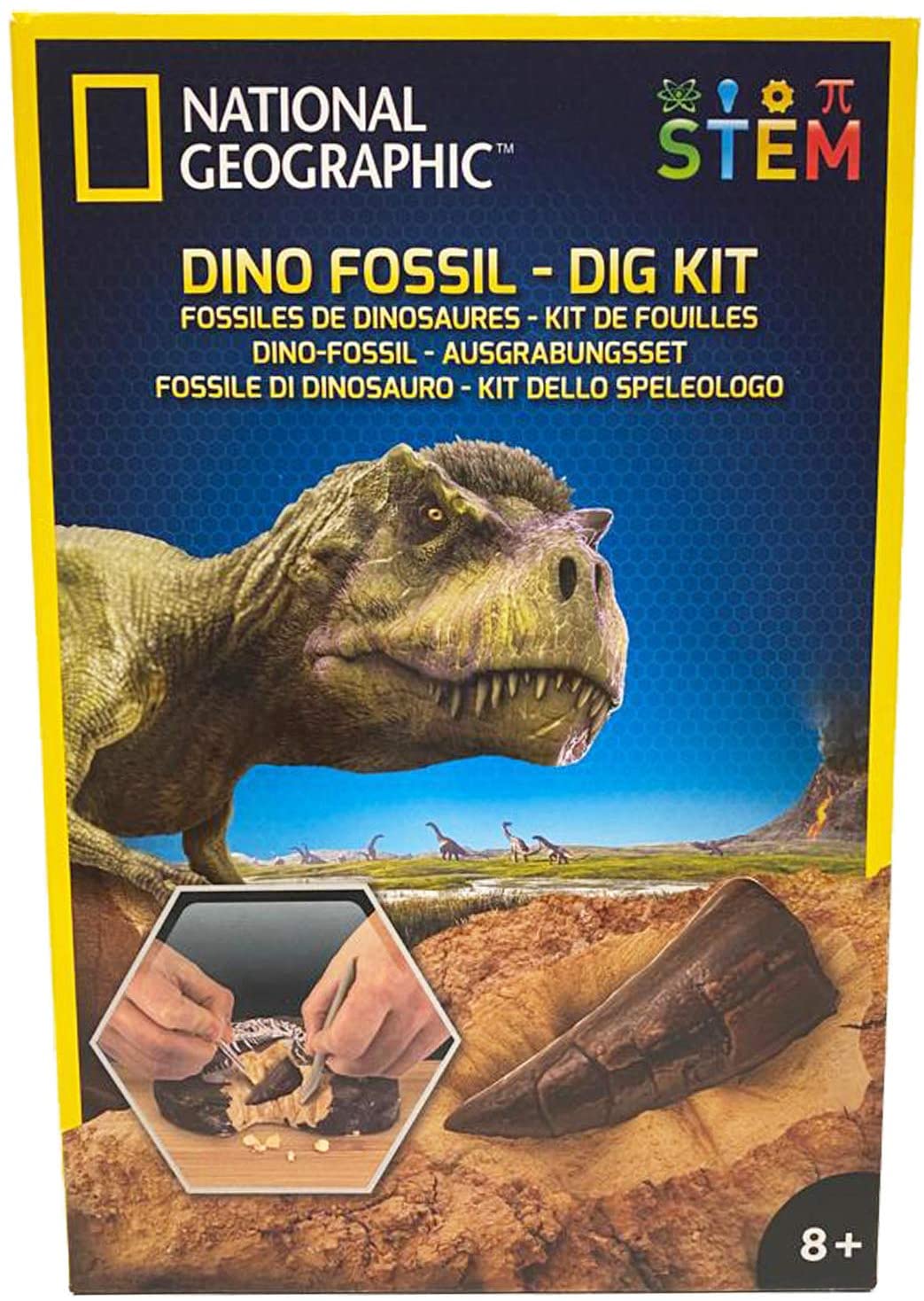 Dino Fossil Dig Kit