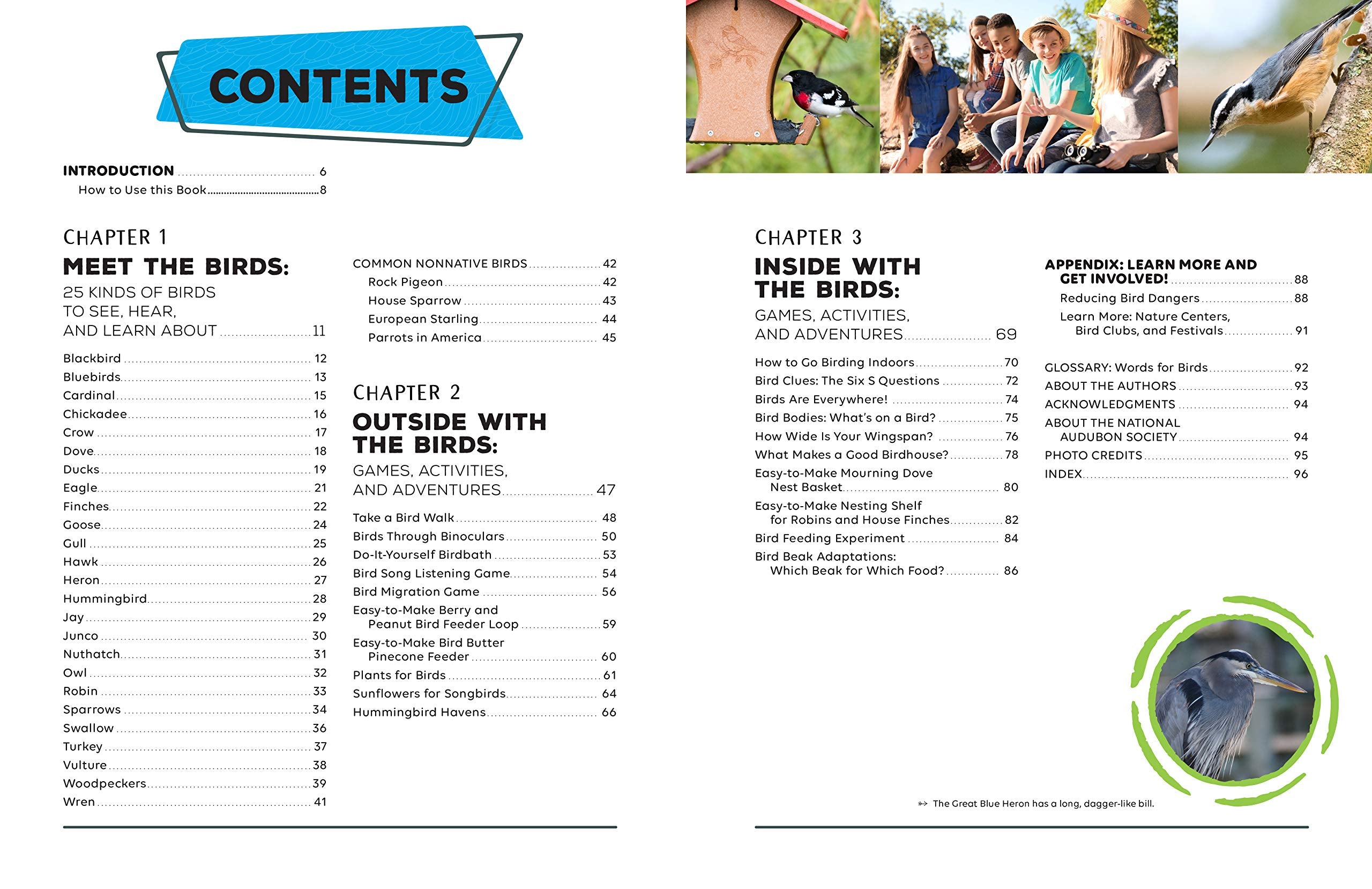 Audubon Birding Adventures for Kids