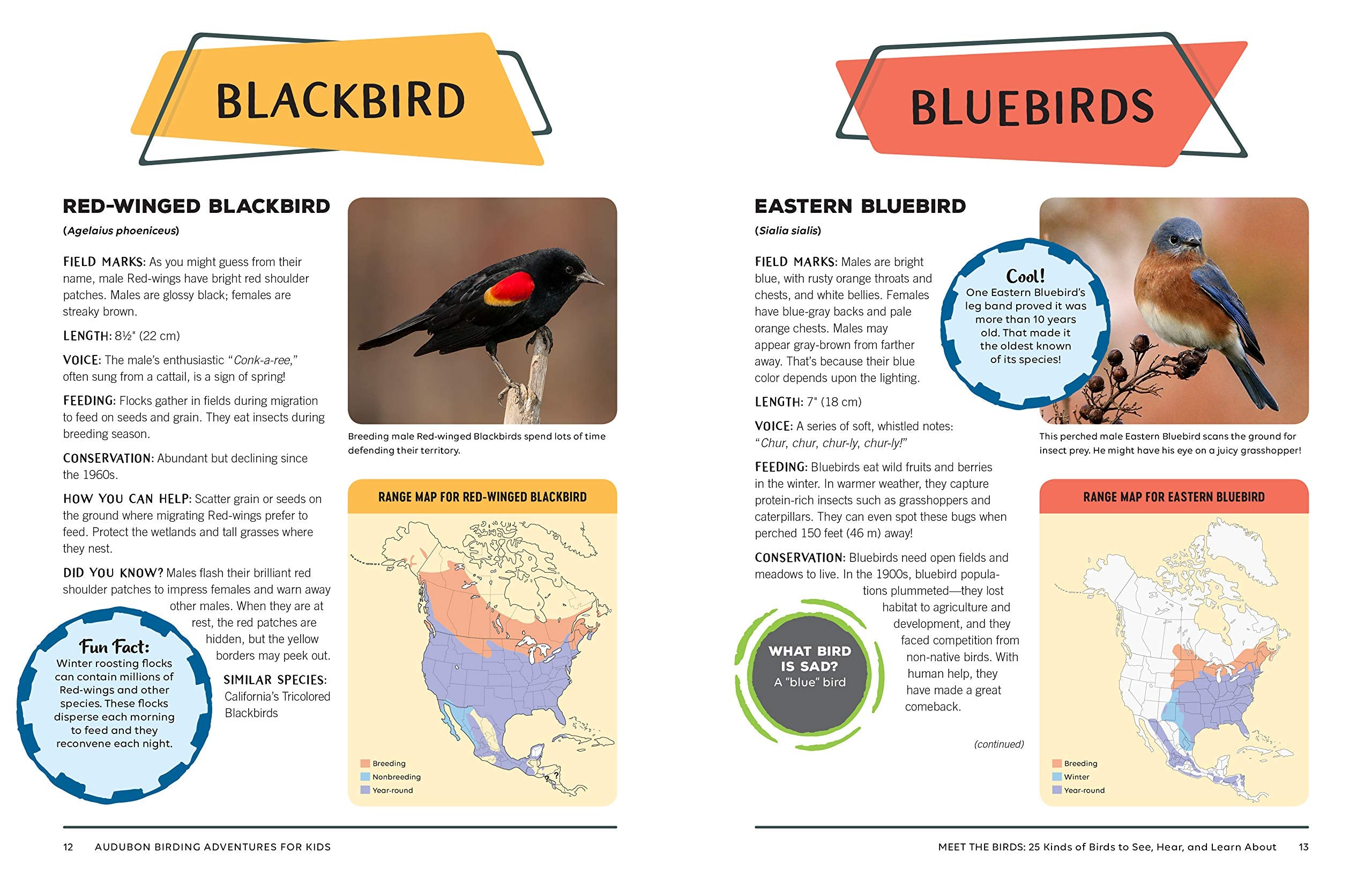 Audubon Birding Adventures for Kids