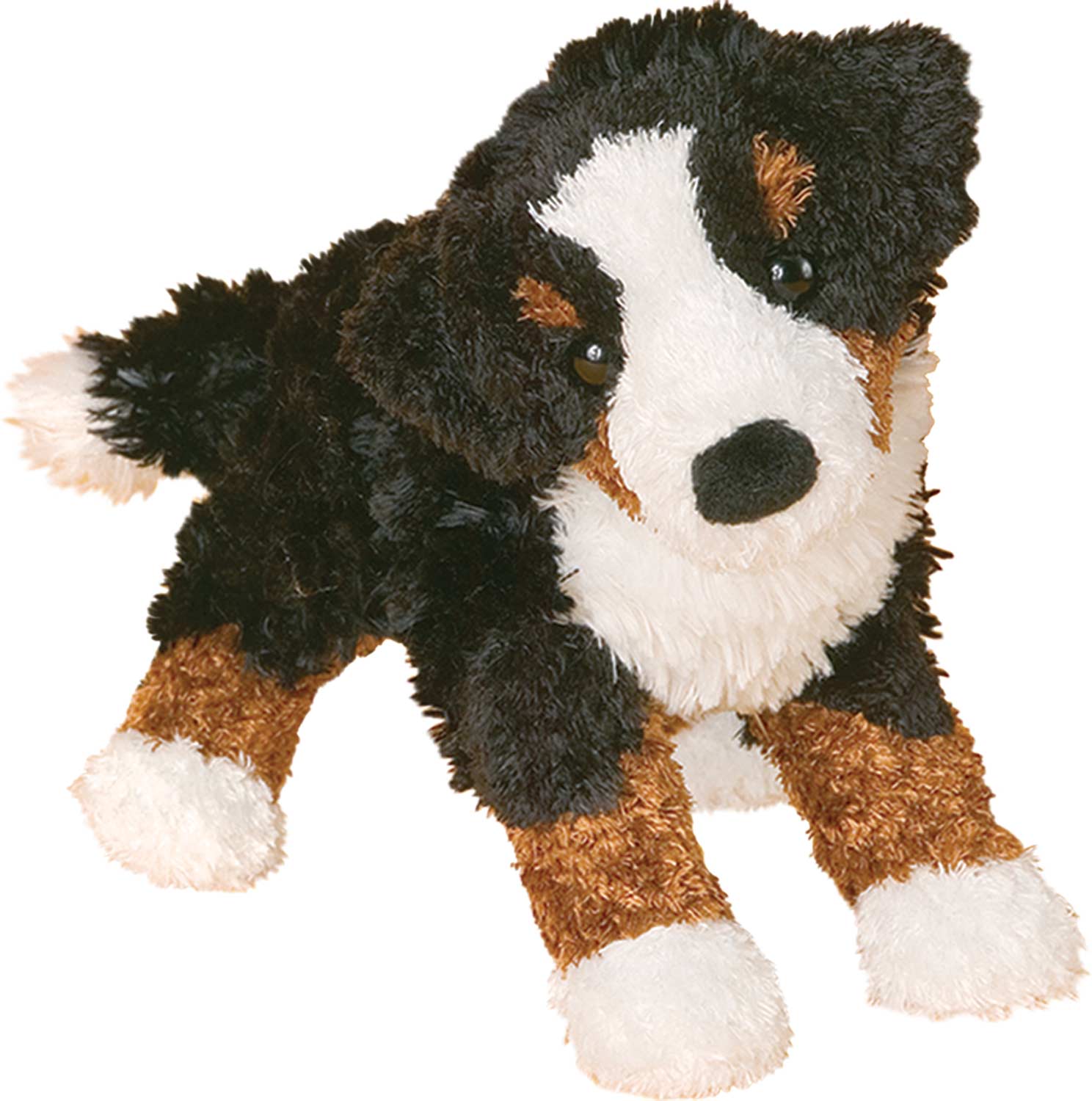 Miranda Bern Mt Dog
