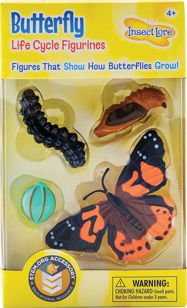 Butterfly Life Cycle Figurines