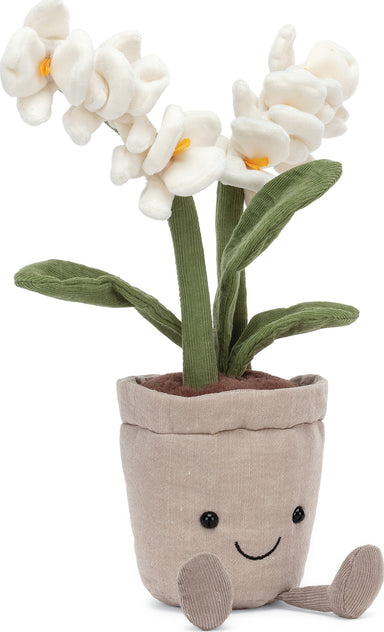 Amuseable Cream Orchid
