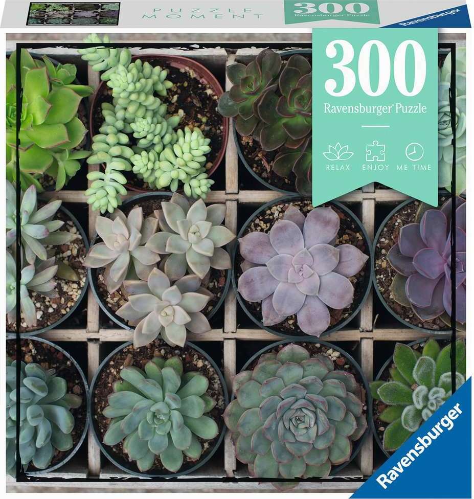 Green Succulents 300 pc Puzzle Moments Puzzle