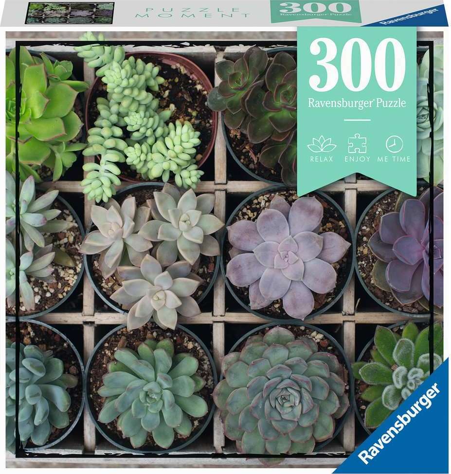  Green Succulents 300 pc Puzzle Moments Puzzle