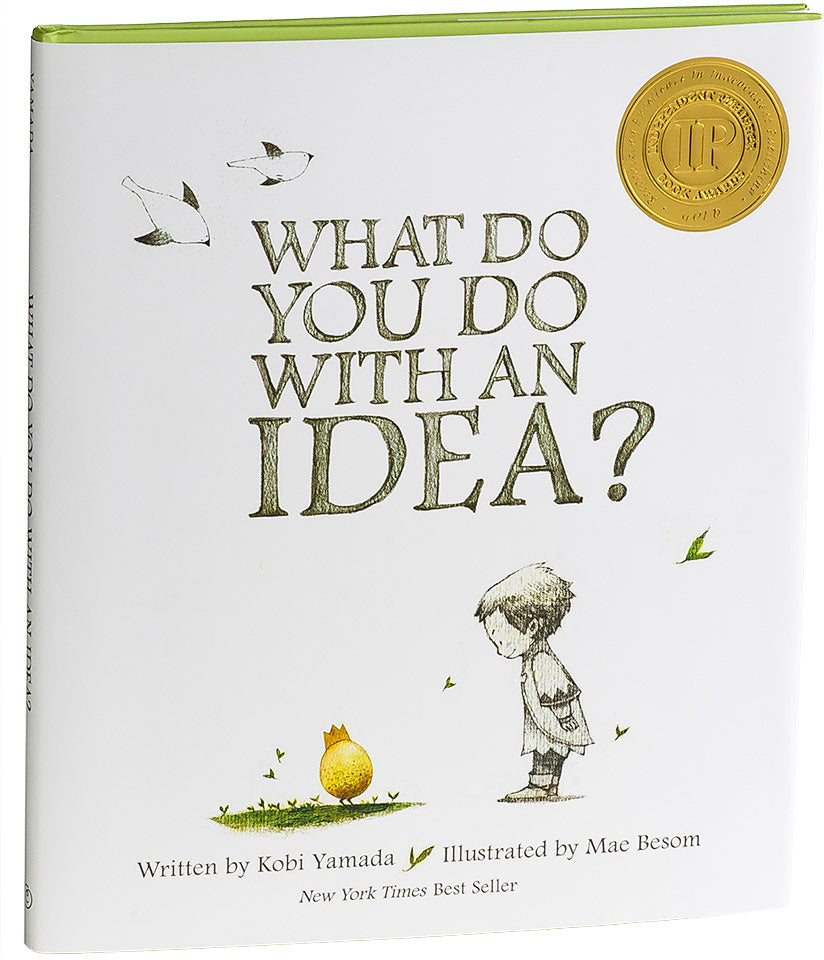 What Do You Do with an Idea? Book