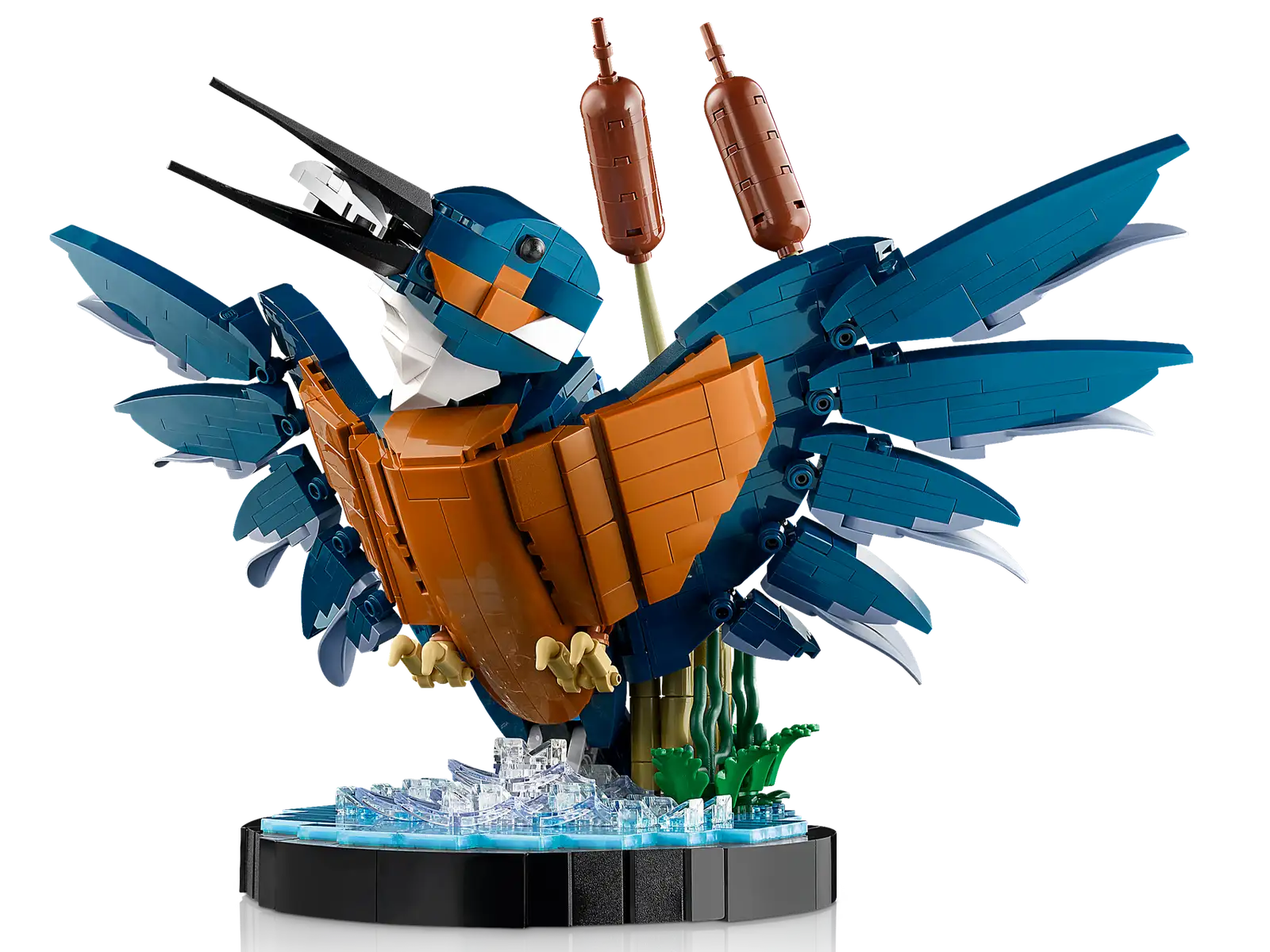 10331 Kingfisher