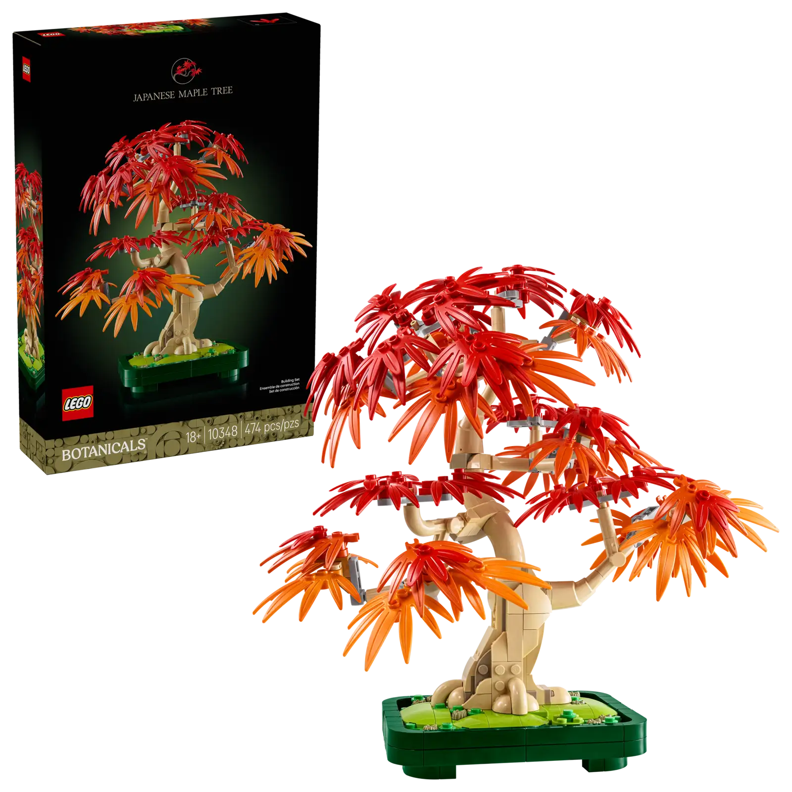 10348 Japanese Red Maple Bonsai Tree