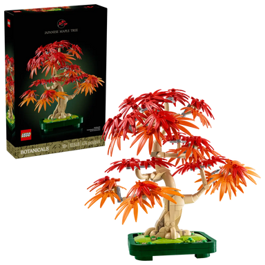 10348 Japanese Red Maple Bonsai Tree