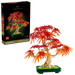 10348 Japanese Red Maple Bonsai Tree
