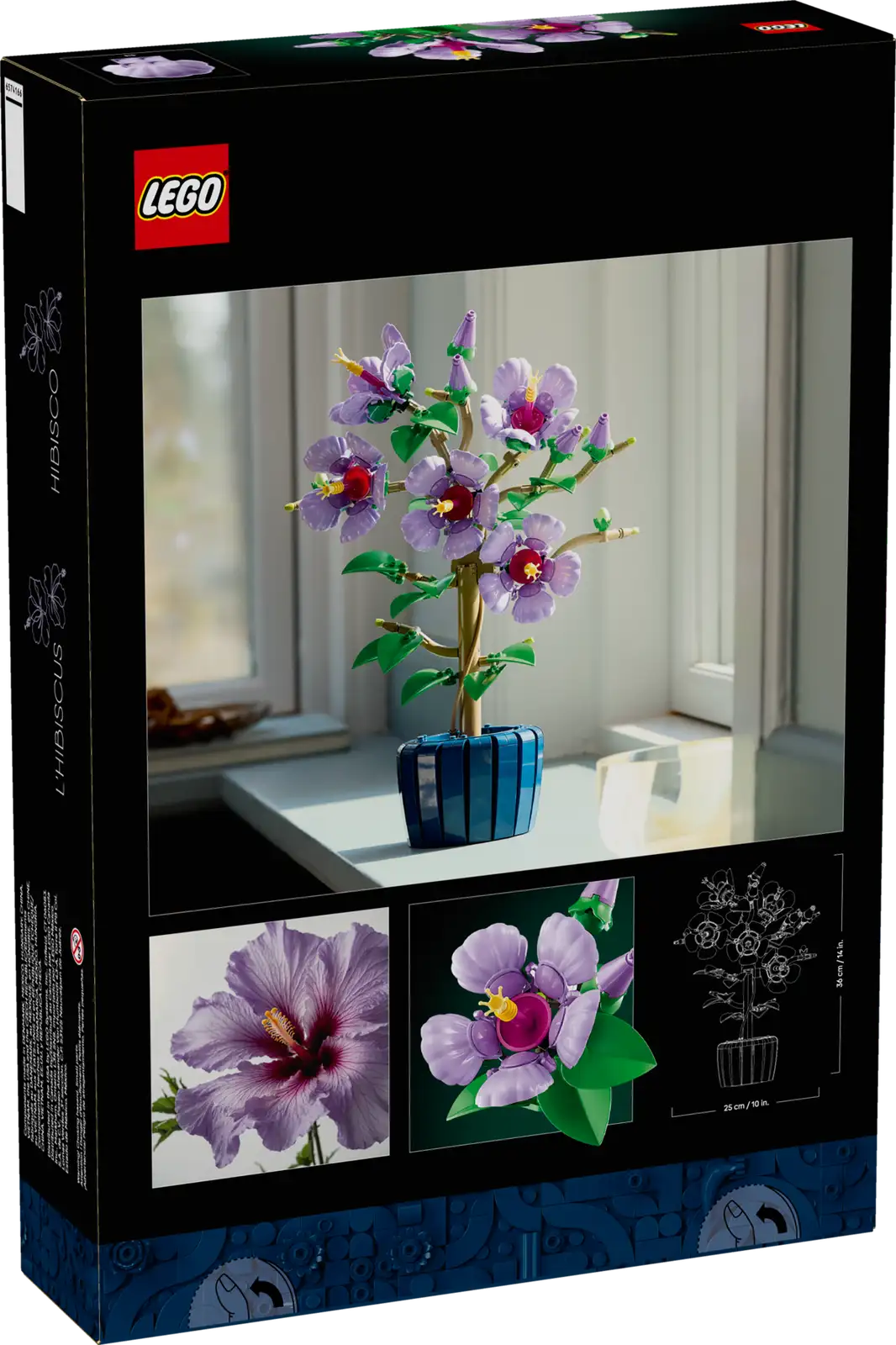 10372  Hibiscus