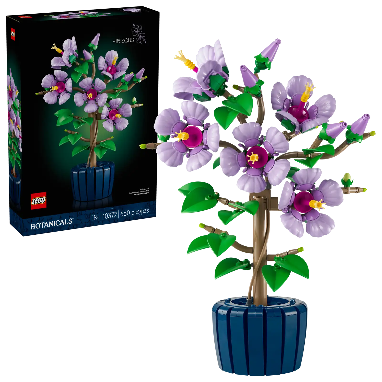 10372 Hibiscus — Piccolo Mondo Toys 10372 Hibiscus — Piccolo Mondo Toys