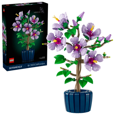 10372  Hibiscus