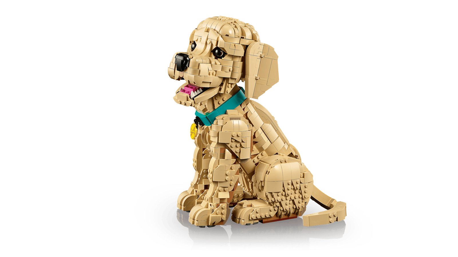 11384 Golden Retriever Puppy
