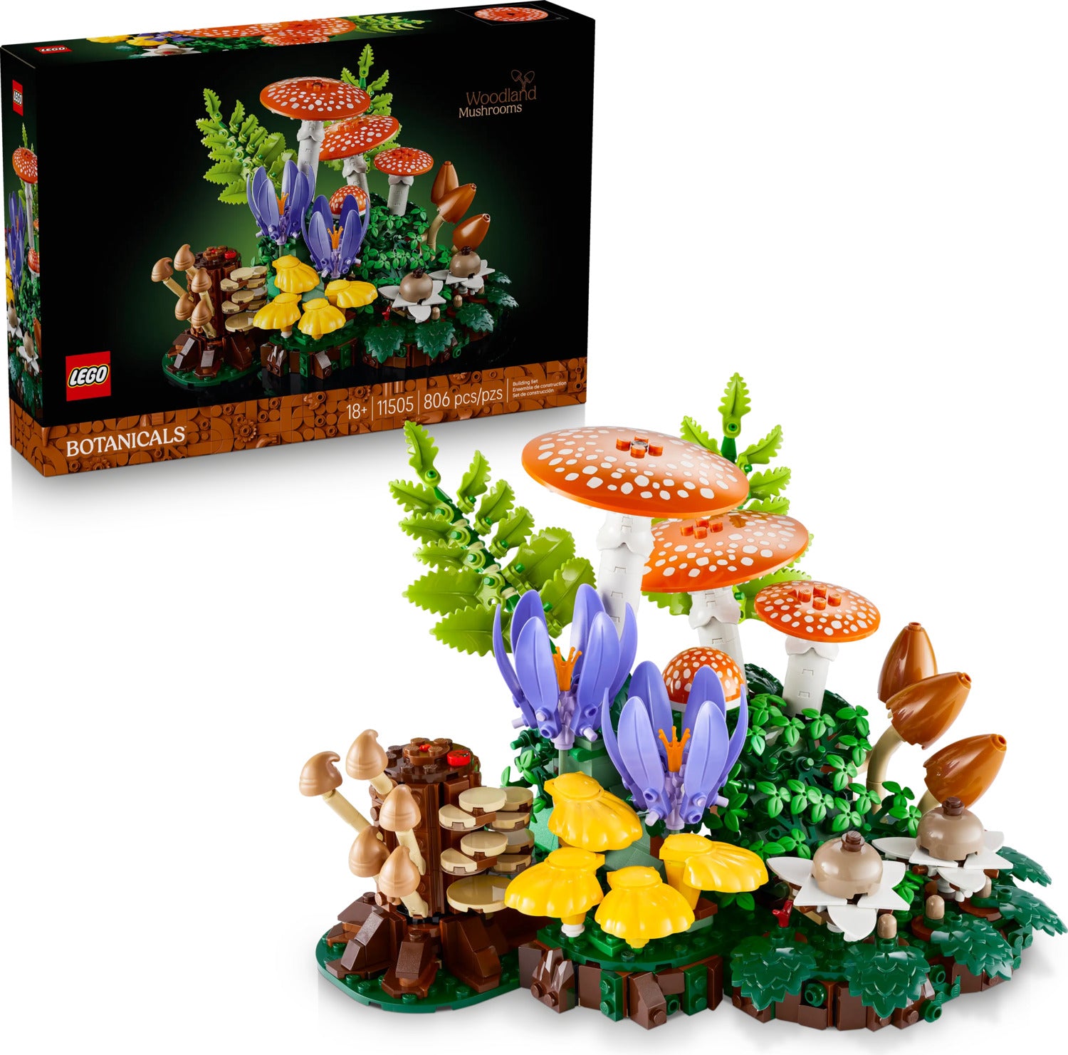 11505 Woodland Mushrooms