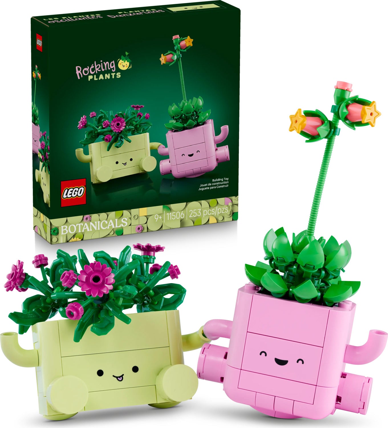 11506 Rocking Plants