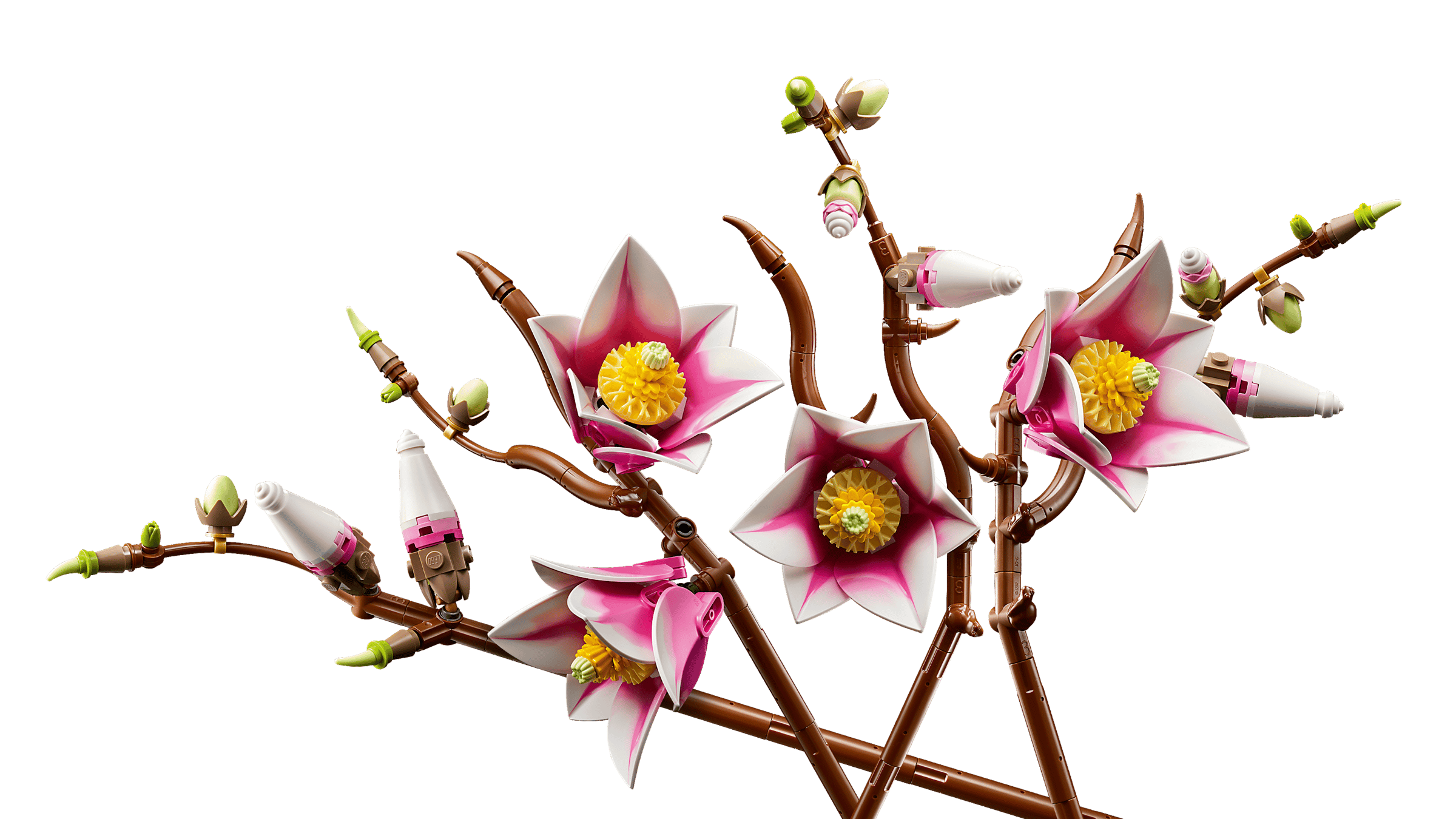 11510 Magnolia Branches