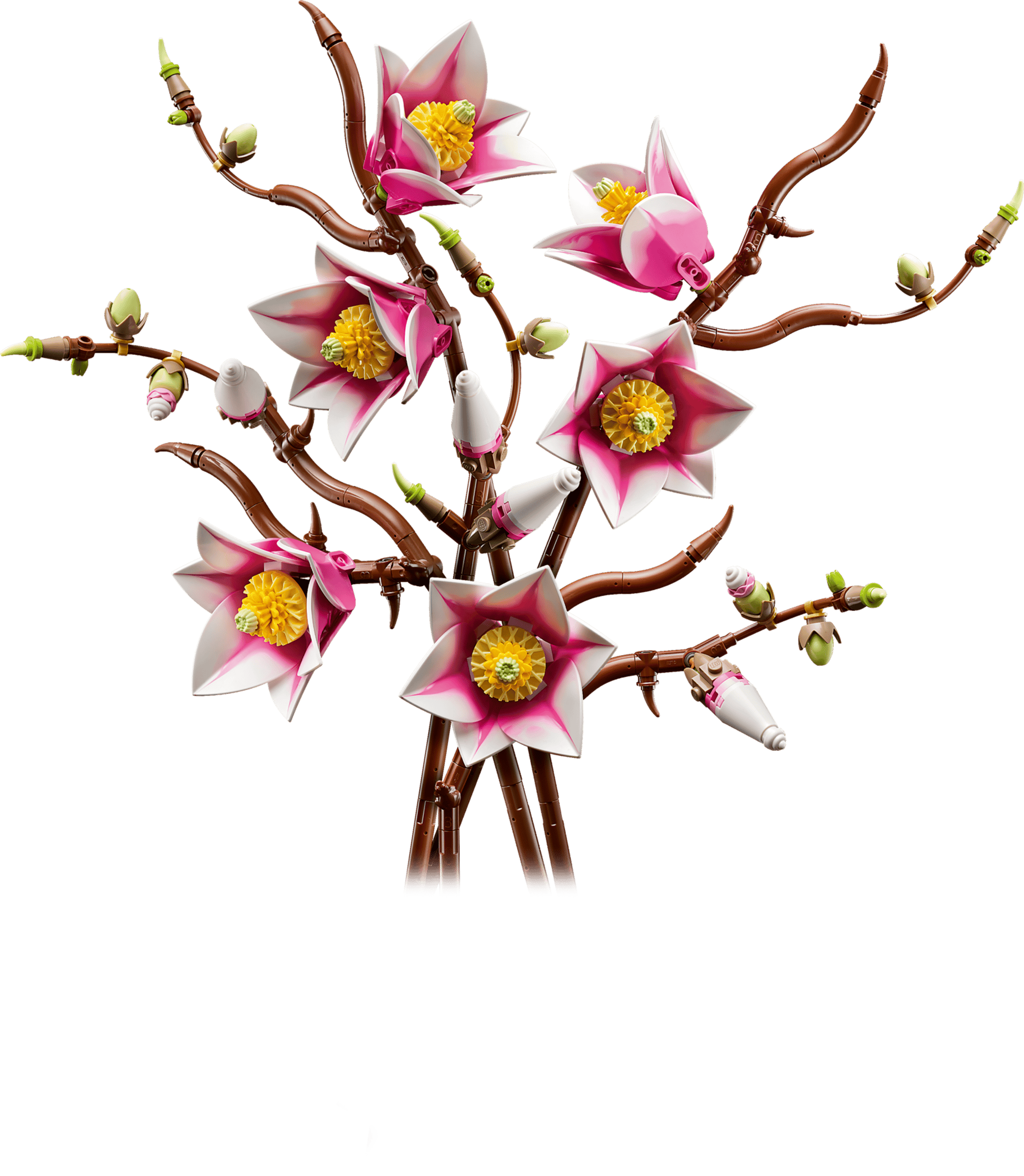 11510 Magnolia Branches