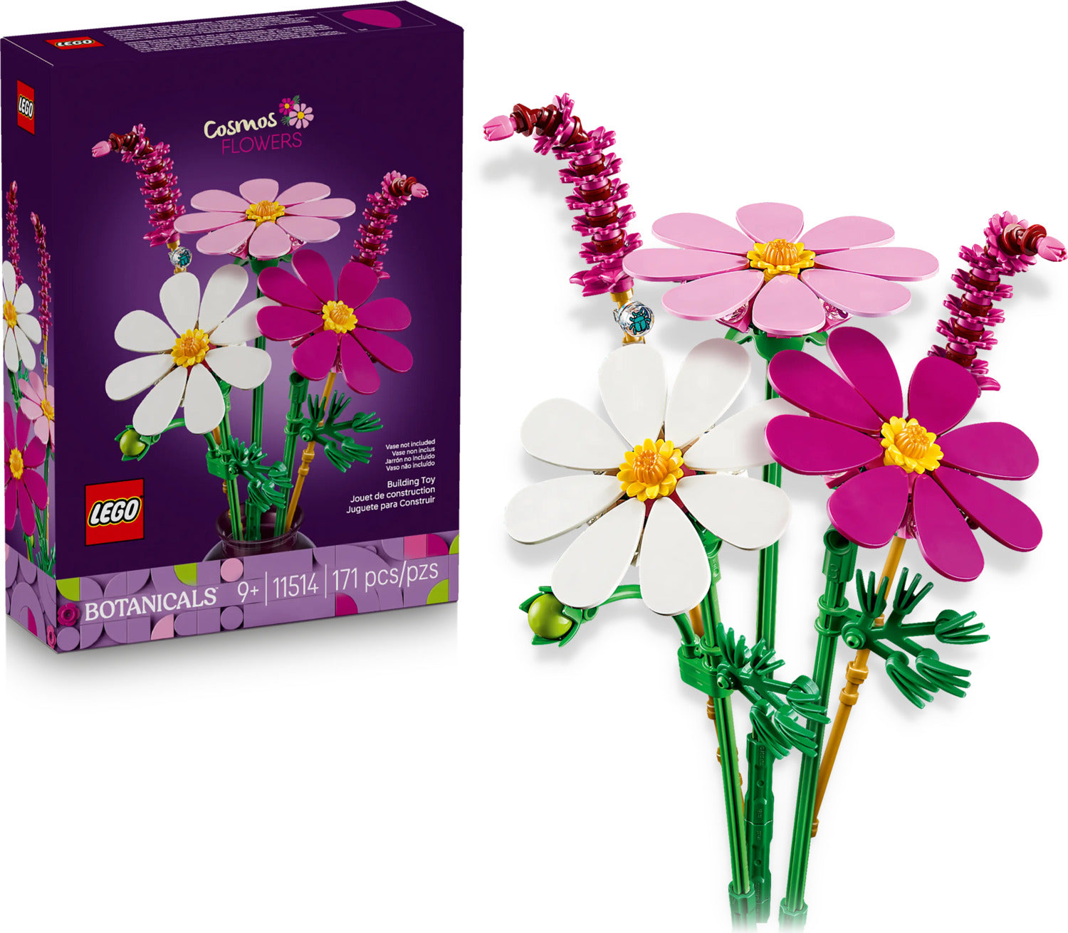 11514 Cosmos Flowers