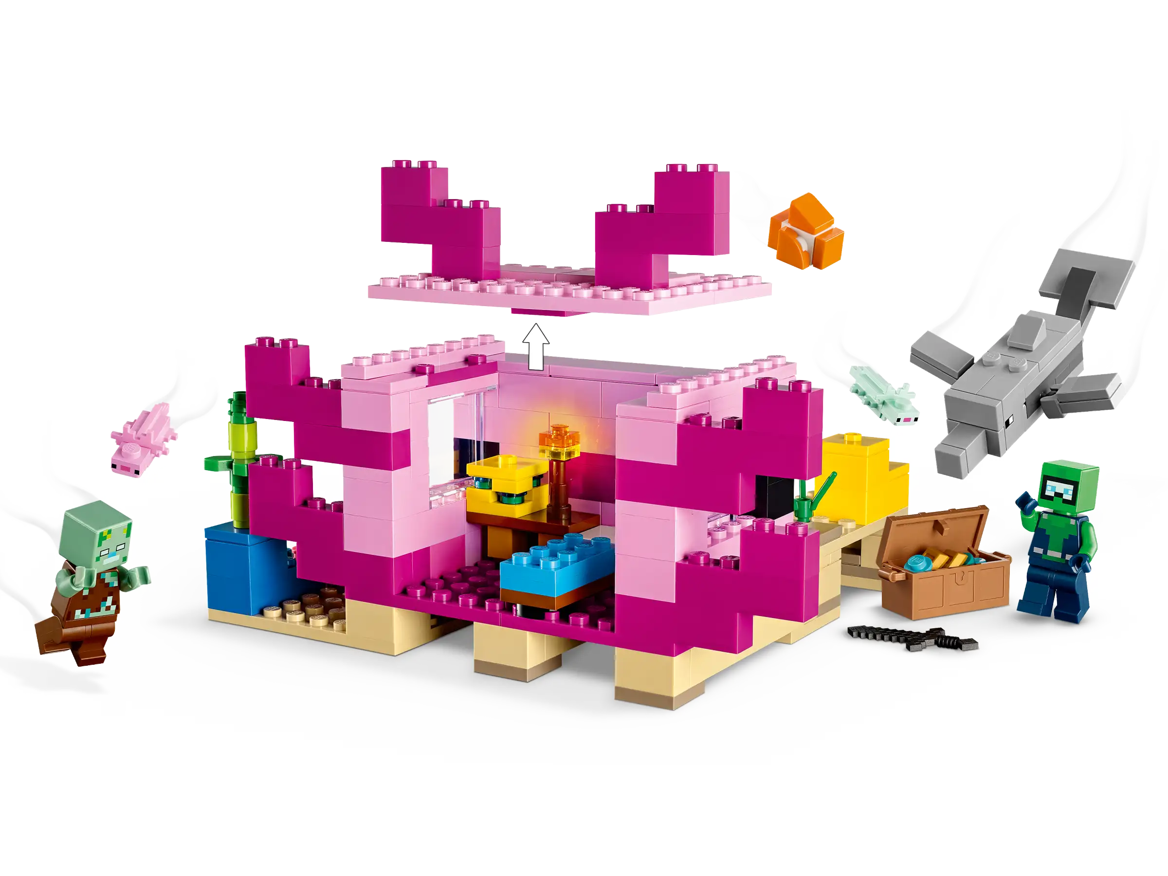 21247 The Axolotl House
