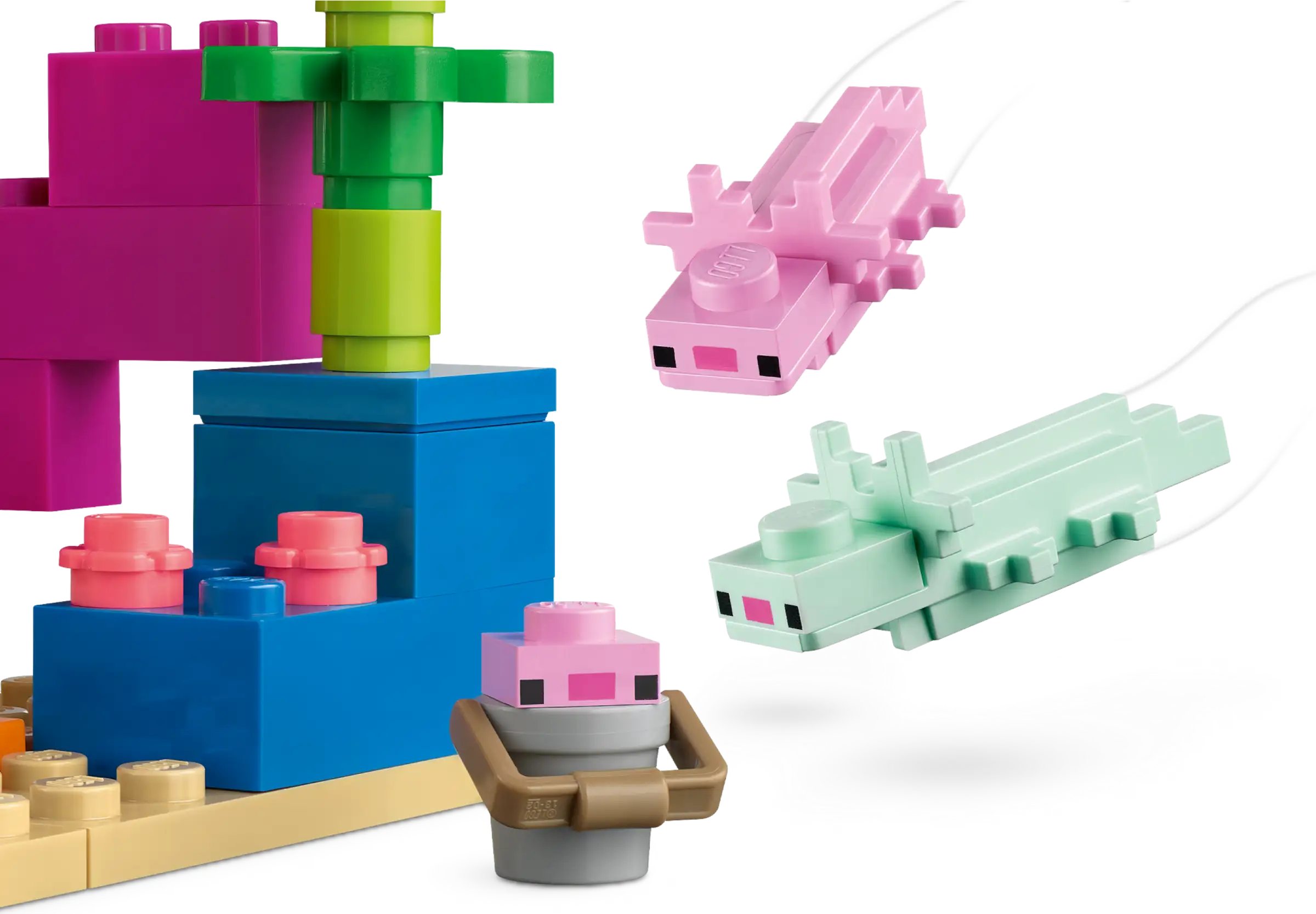 21247 The Axolotl House