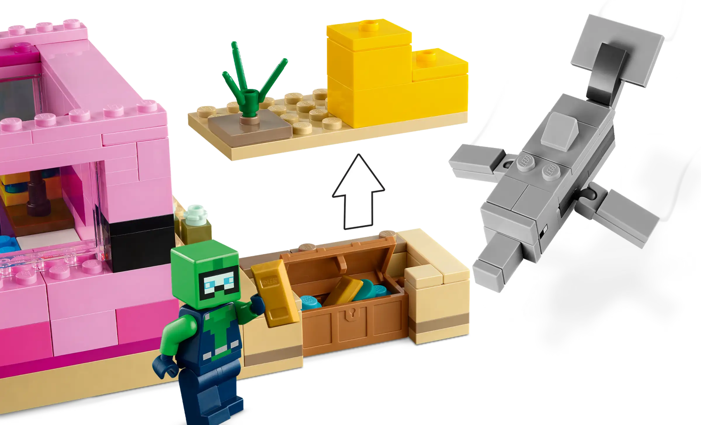 21247 The Axolotl House