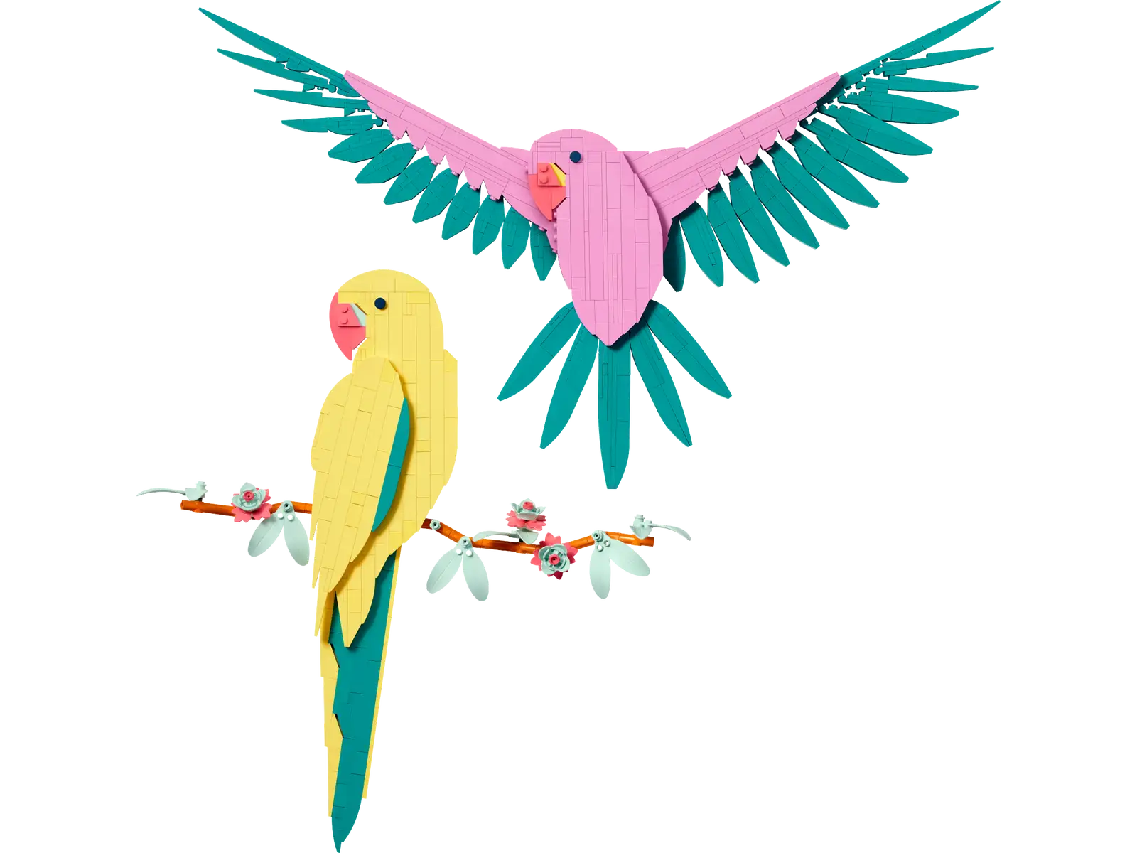 31211 The Fauna Collection Macaw Parrots