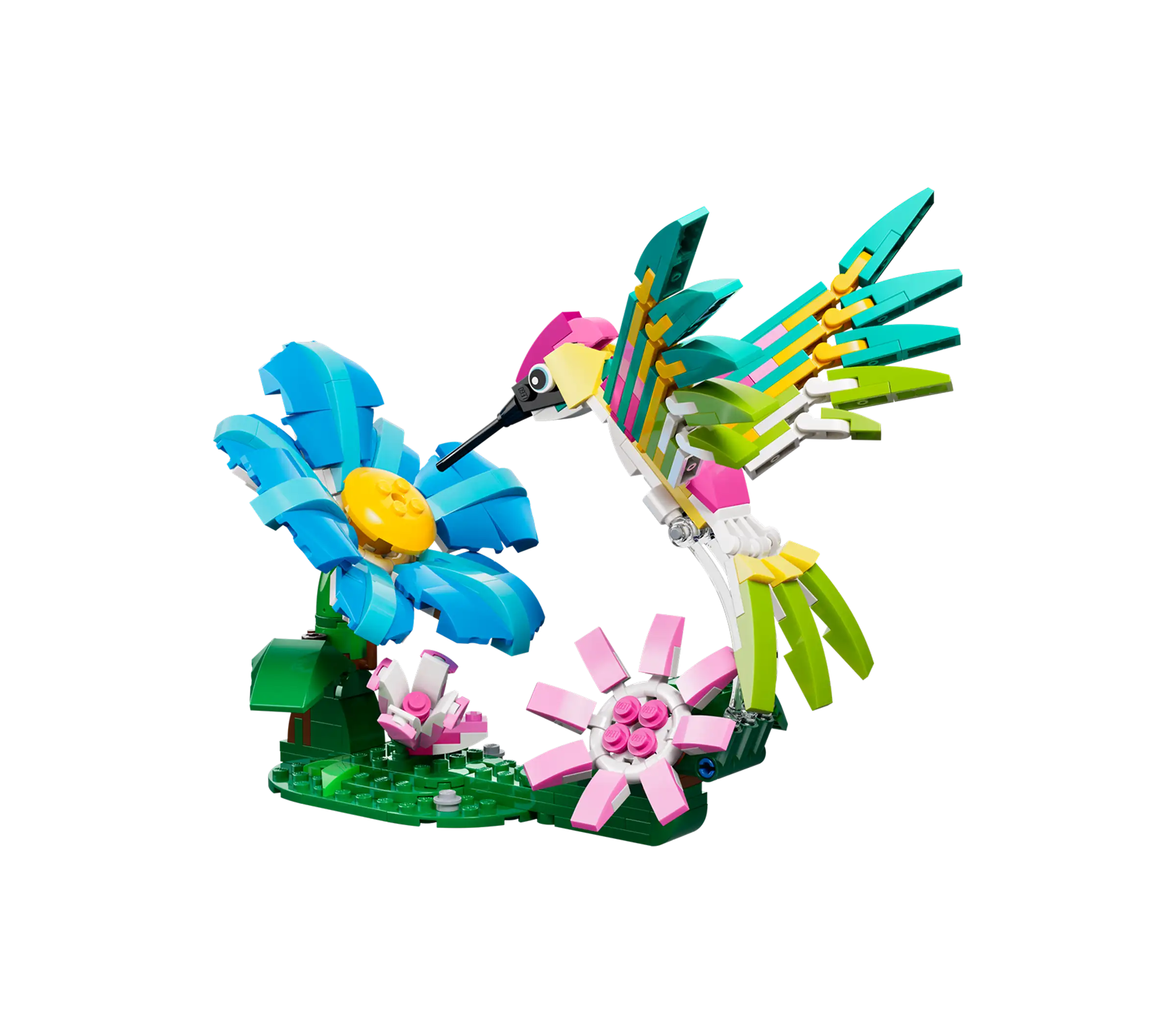 31384 Wild Animals: Colorful Hummingbird