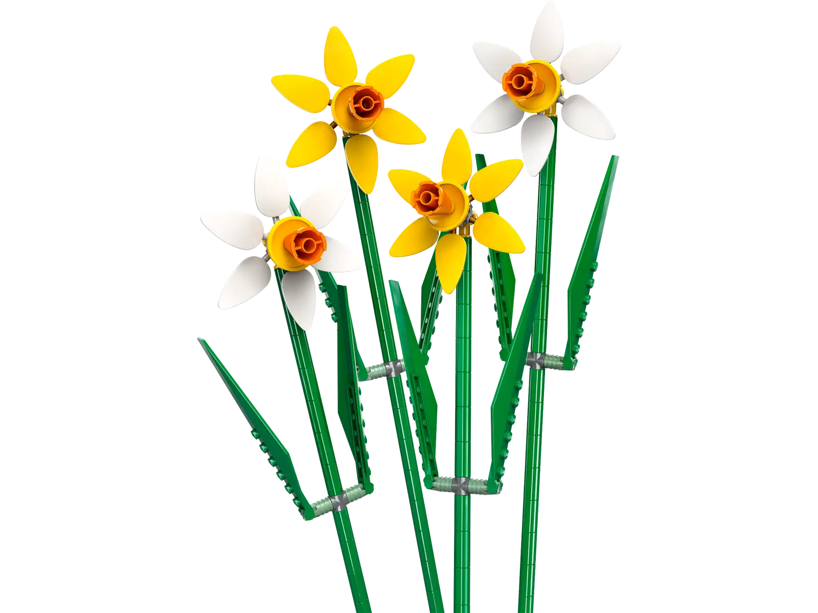 40747 Daffodils