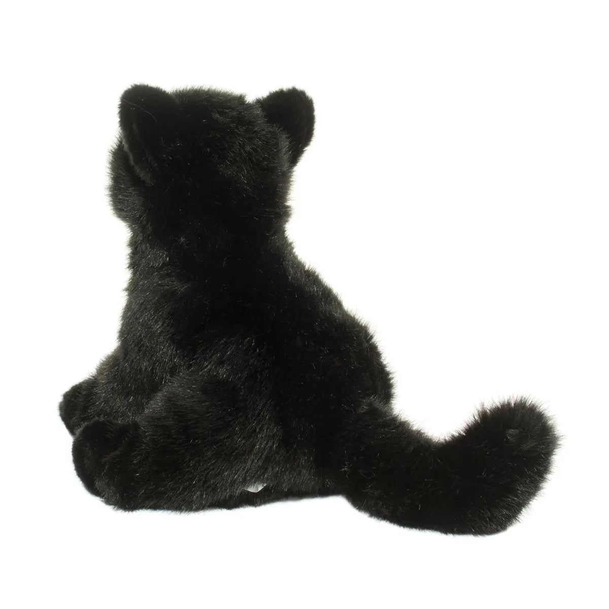 Salem Floppy Black Cat