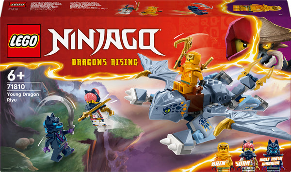 71810_Young_Dragon_Riyu_grande