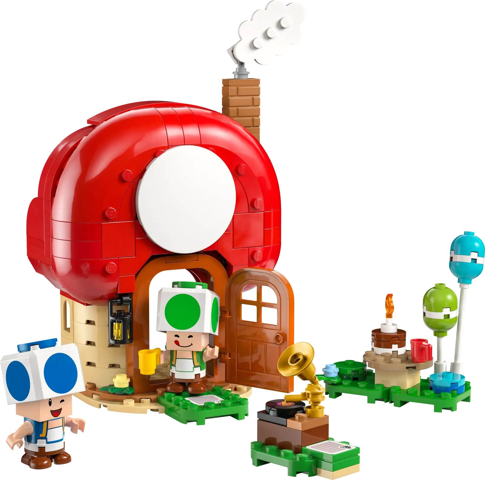 72041 Party at Toad's House
