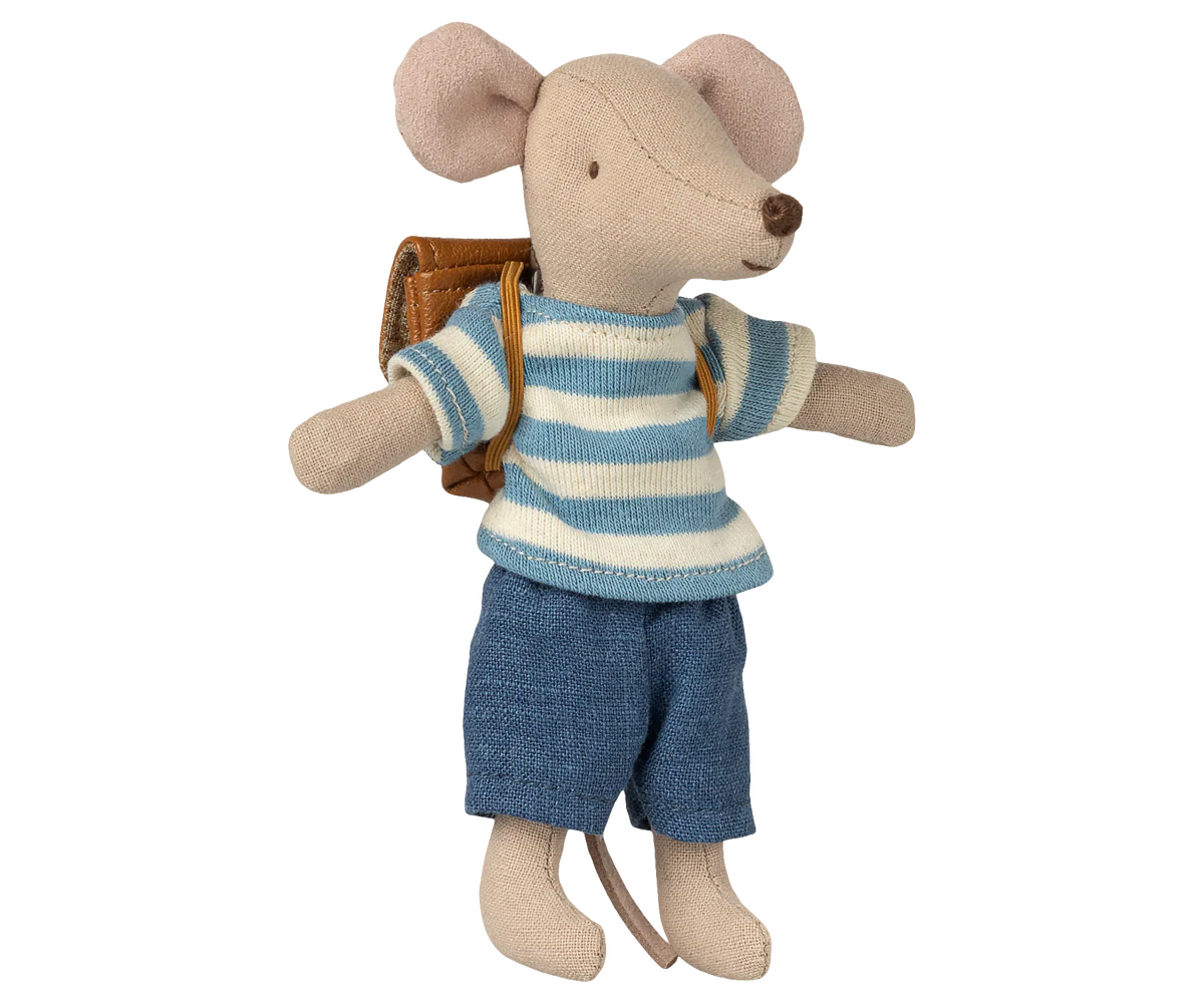 Big Brother Mouse Clothes & Brown Bag