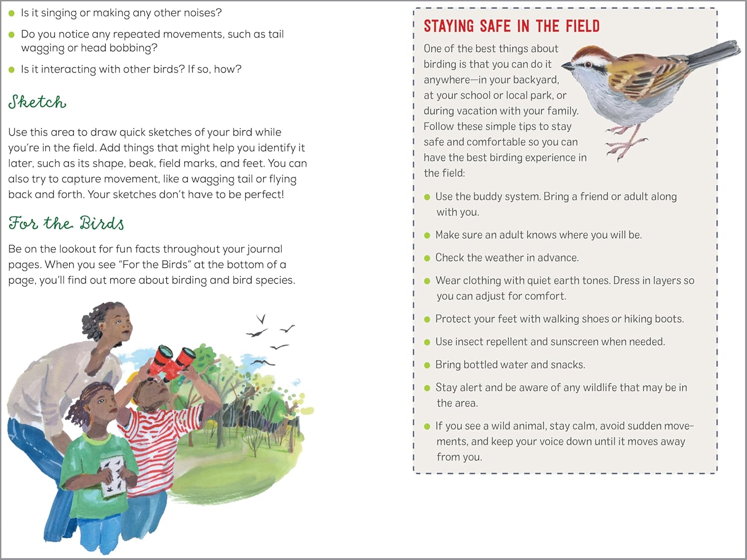 Bird Watching Book for Kids