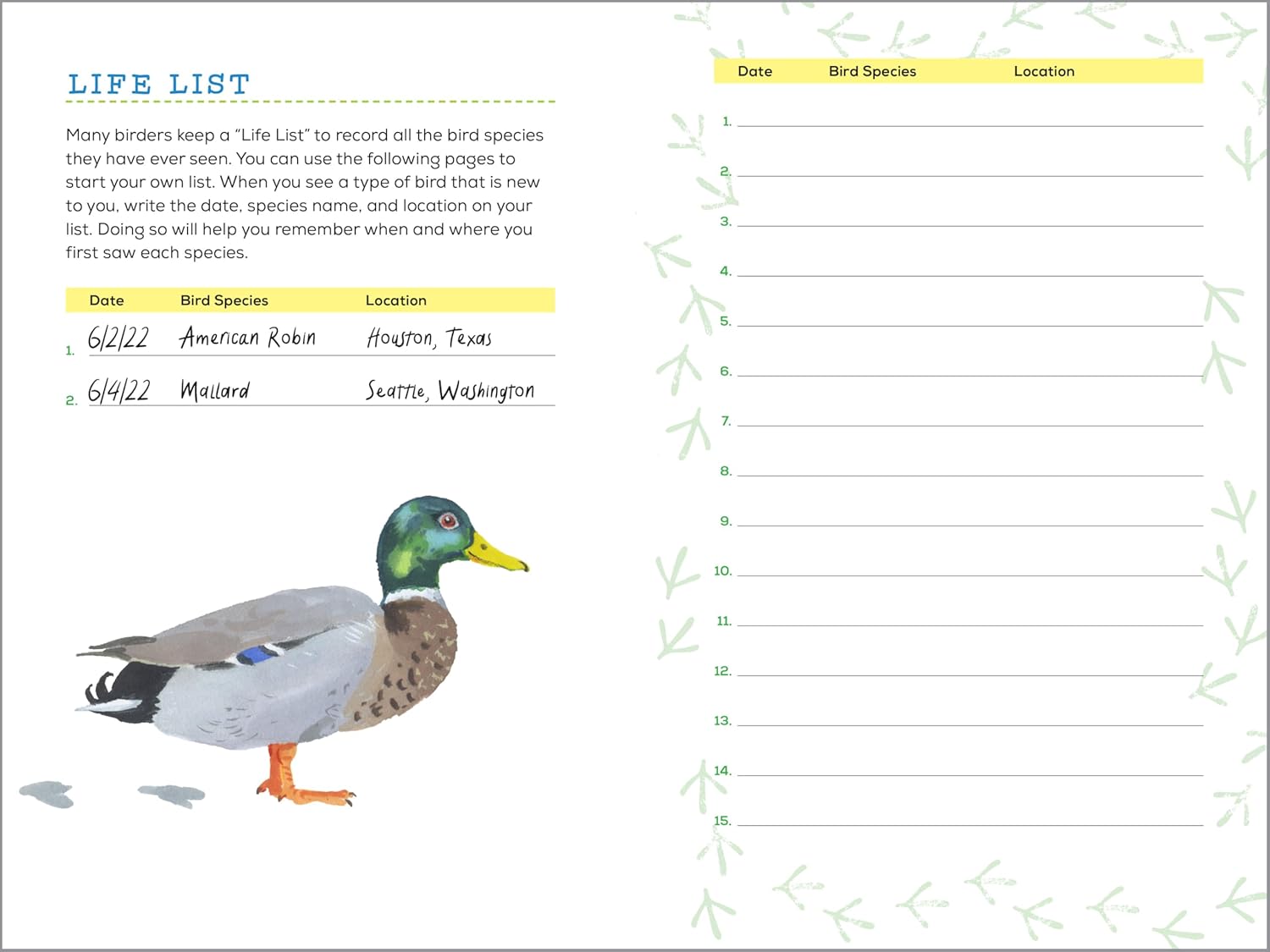 Bird Watching Book for Kids