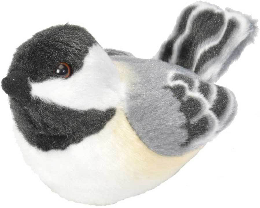 Black Capped Chickadee Audubon II Bird