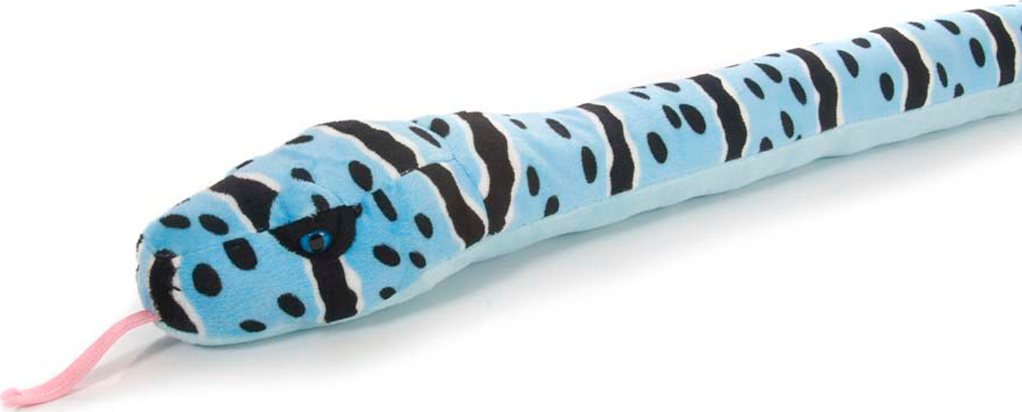 Blue Rock Rattlesnake Snake