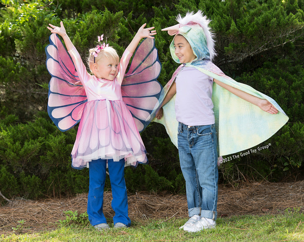 Butterfly Twirl Dress with Wings in Size 3/4