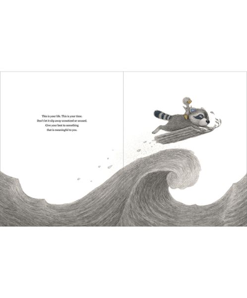 Chasing Dreams Picture Book