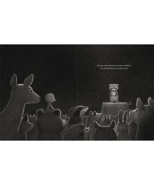 Chasing Dreams Picture Book