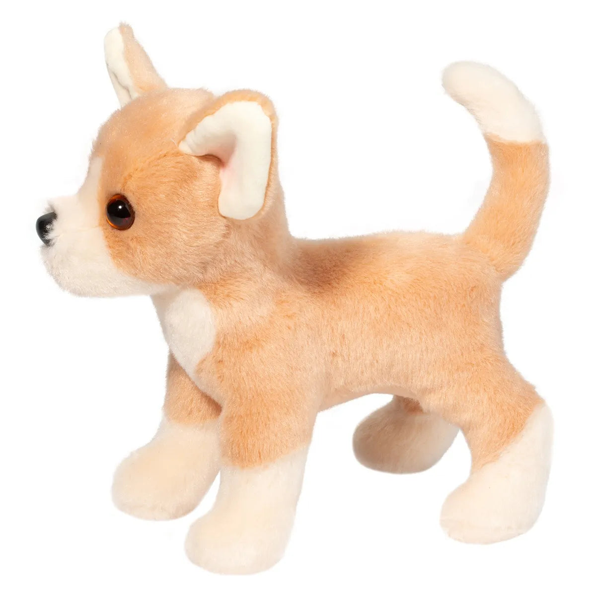 Chichi Chihuahua
