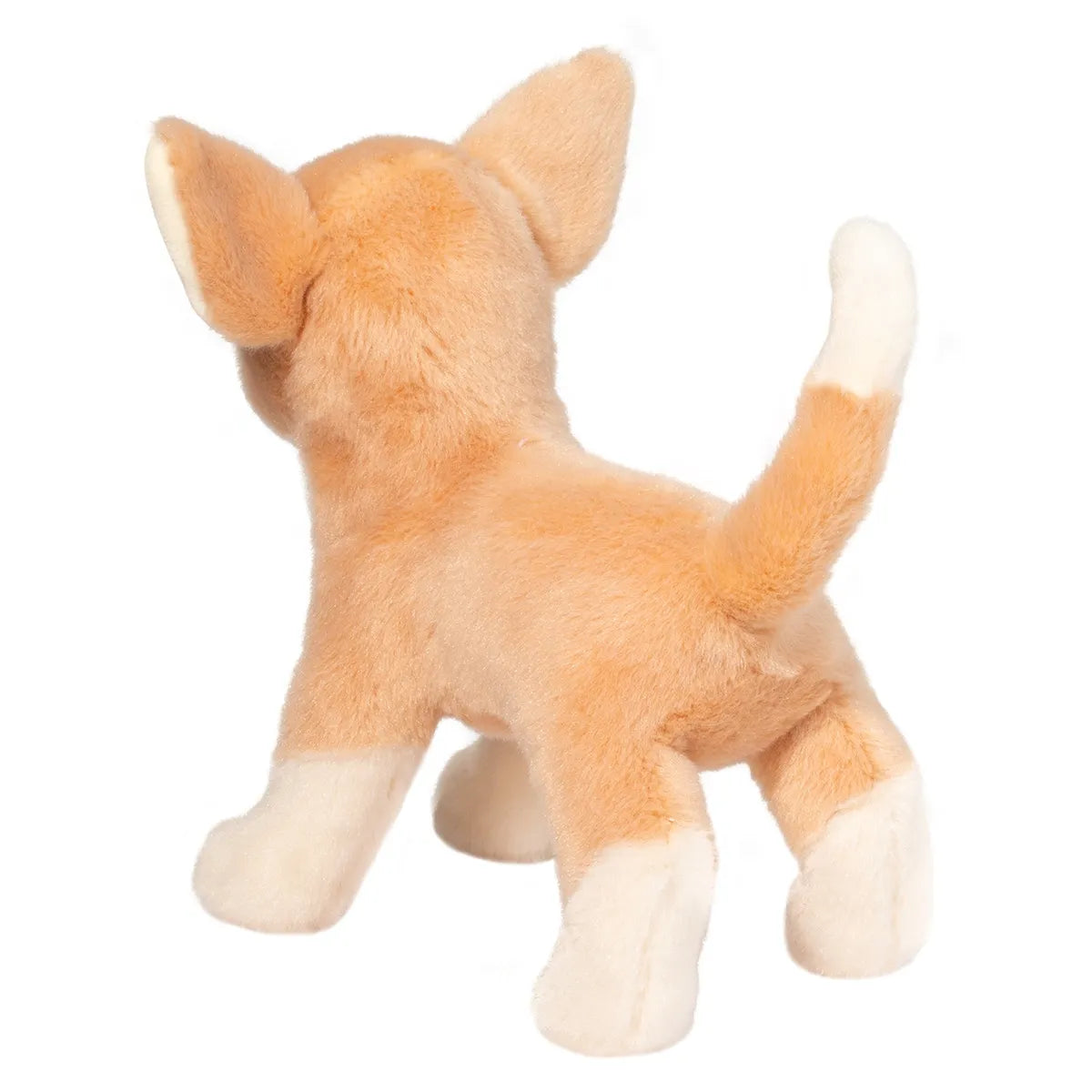 Chichi Chihuahua
