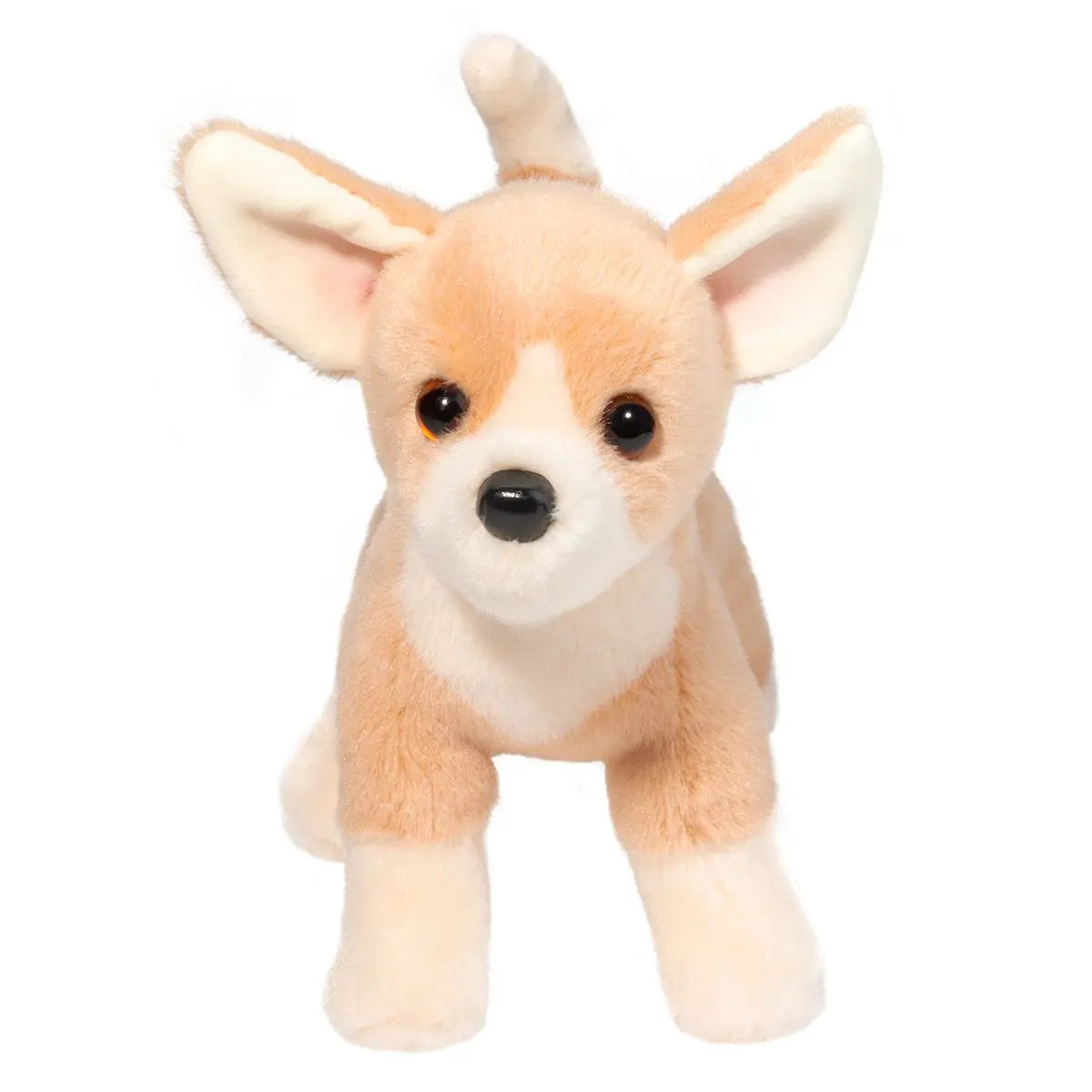 Chichi Chihuahua