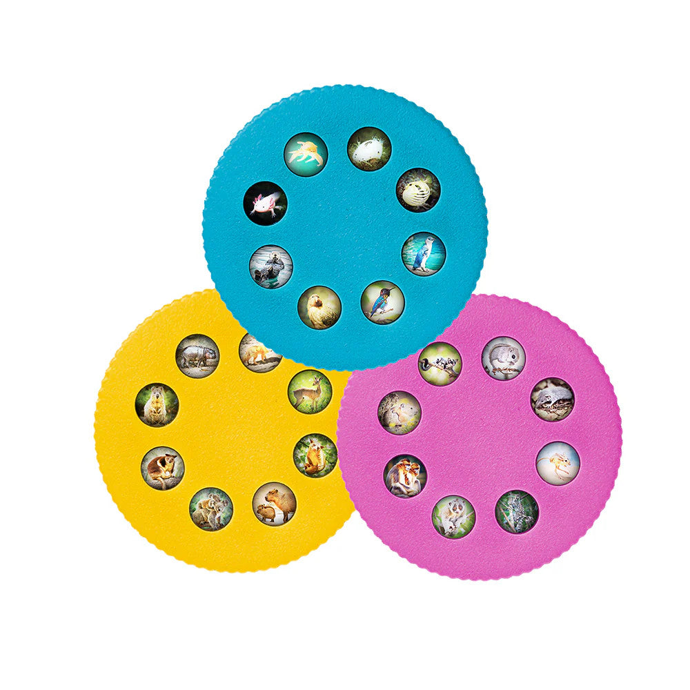 Cute Animals Wonder Lights Educational Flashlight