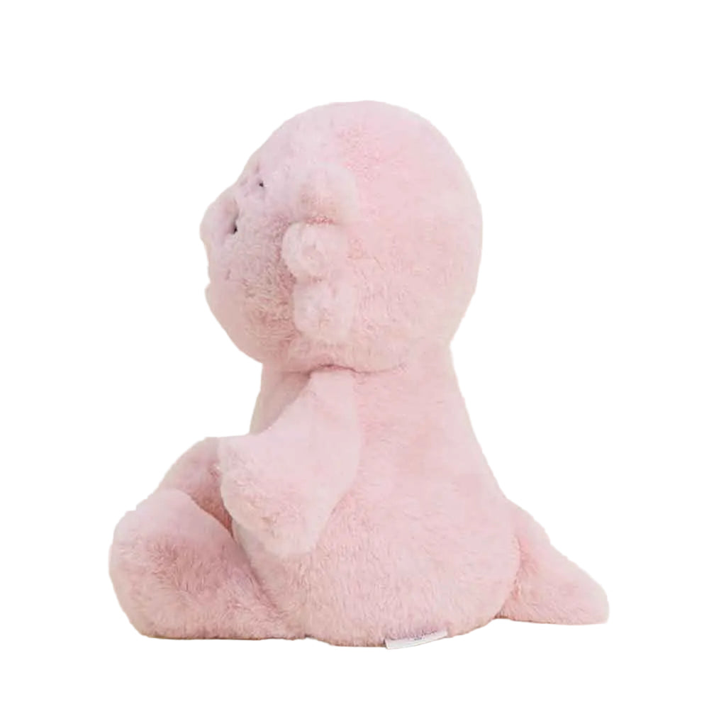 Cute  Axolotl Warmies